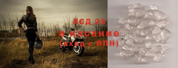 индика Вяземский