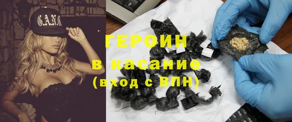 индика Вяземский