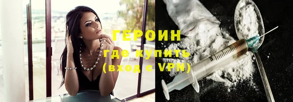 индика Вяземский
