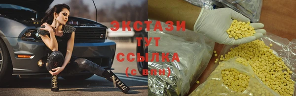 индика Вяземский