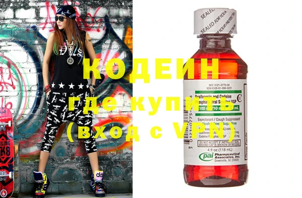индика Вяземский