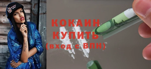 индика Вяземский