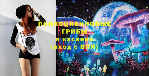 стаф Вязники