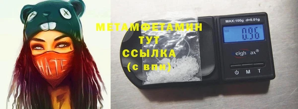 индика Вяземский