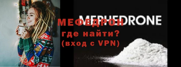 индика Вяземский