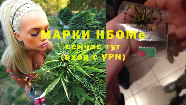 индика Вяземский