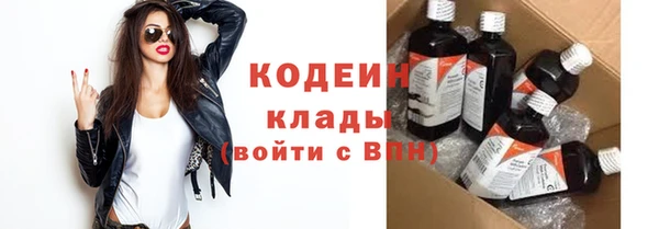 индика Вяземский