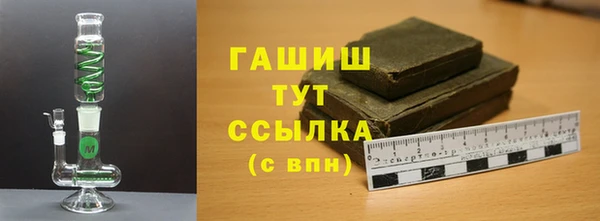 индика Вяземский