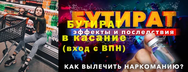 индика Вяземский