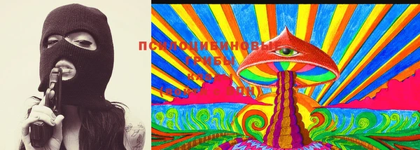 стаф Вязники