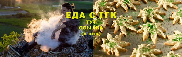 индика Вяземский