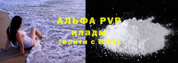 индика Вяземский