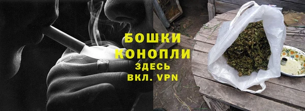 индика Вяземский
