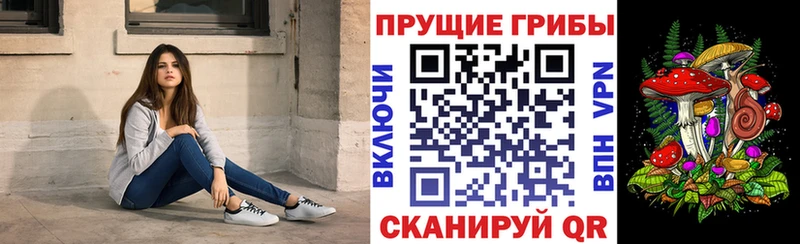 купить наркотики сайты  omg рабочий сайт  Галлюциногенные грибы GOLDEN TEACHER  Зеленодольск 